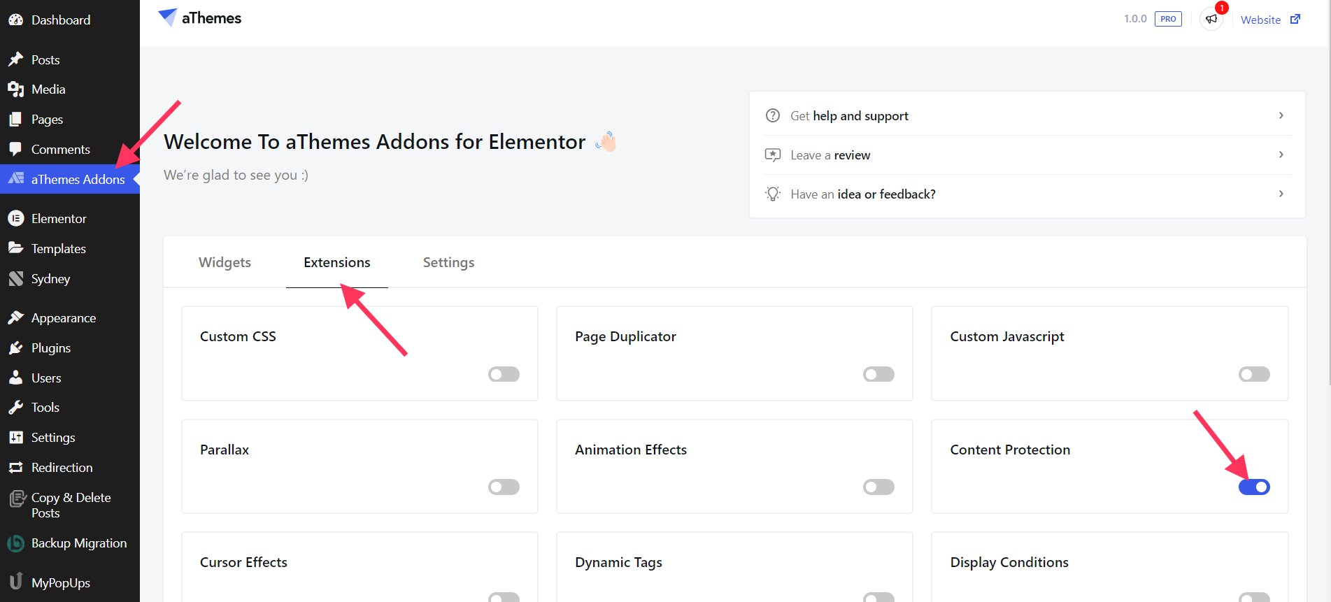 [Pro] Content Protection - aThemes Knowledge Base
