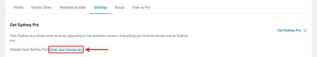The Enter your license key link in the Get Sydney Pro card on the Sydney dashboard Settings tab